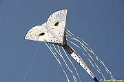 32 FESTIVAL CERVIA 2012 - 245